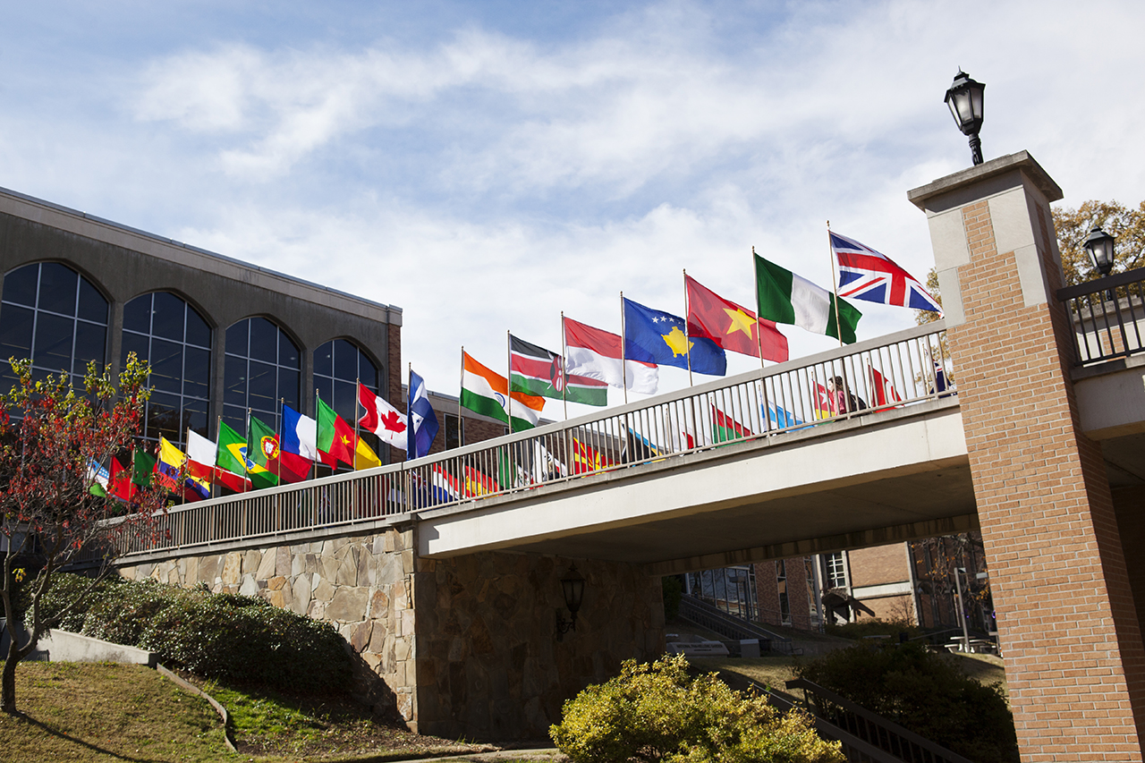 Flags on bridge on campus